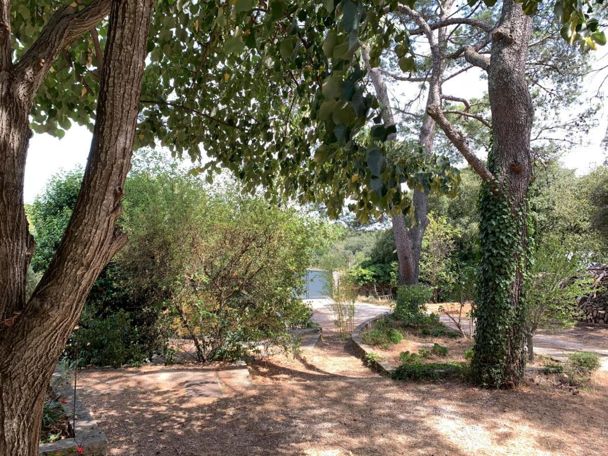 Mazet Proche Golf Villa Nîmes Dış mekan fotoğraf