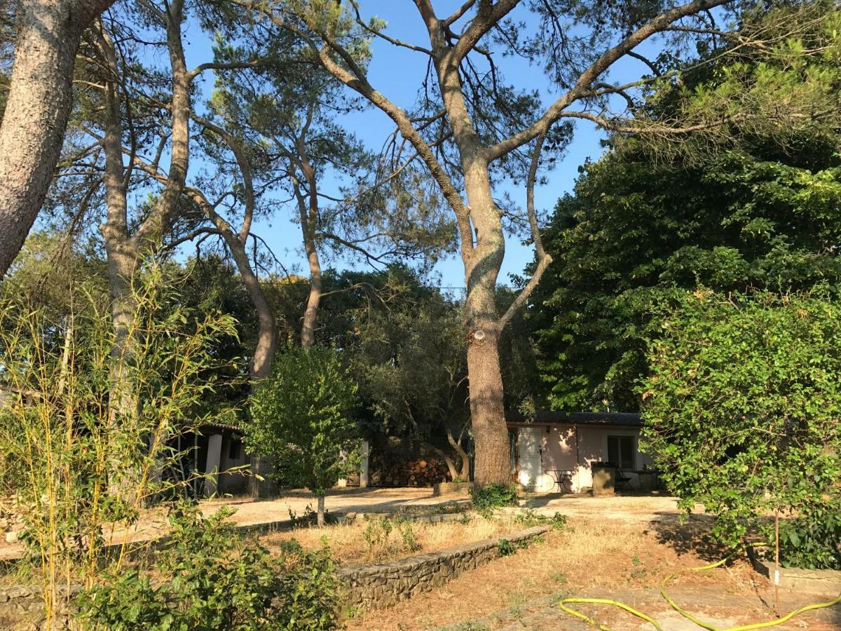 Mazet Proche Golf Villa Nîmes Dış mekan fotoğraf